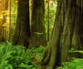 Iconic BC Landscapes