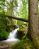 Slocan Valley Waterfall photo